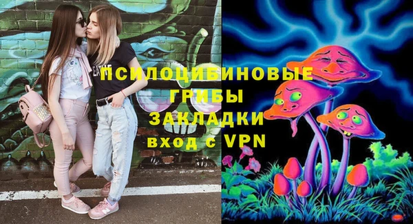PSILOCYBIN Няндома