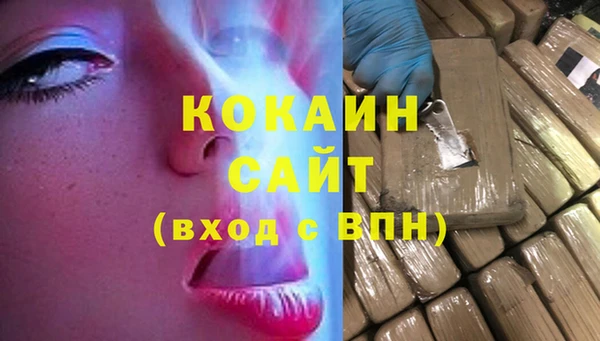 PSILOCYBIN Няндома