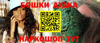 Альфа ПВП Дубна