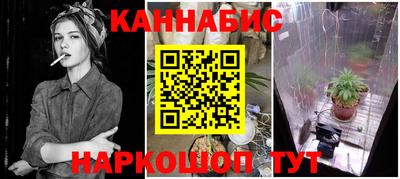 Альфа ПВП Дубна