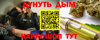 Альфа ПВП Дубна