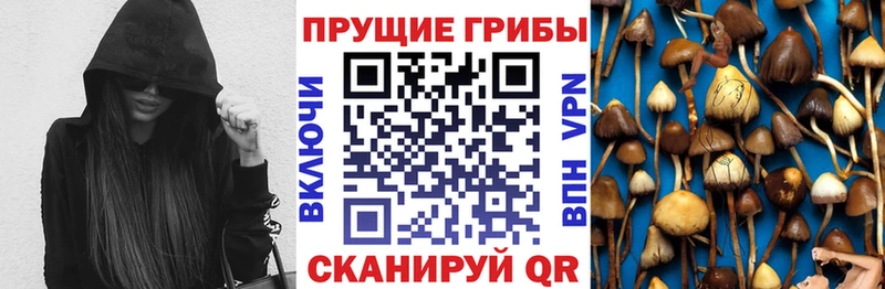 Псилоцибиновые грибы Psilocybe  цена наркотик  Рассказово 