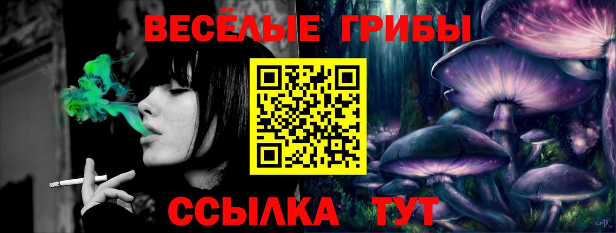 Галлюциногенные грибы мицелий Рассказово