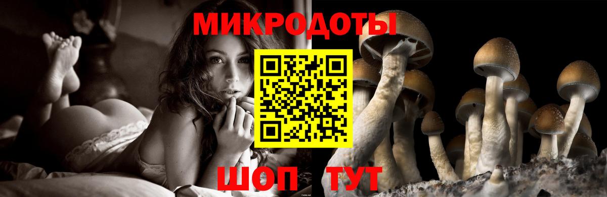 Рассказово  Галлюциногенные грибы мицелий  Вход с VPN 